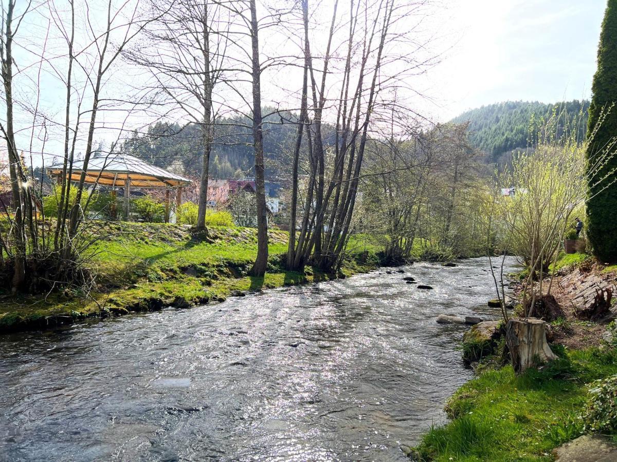 Ferienwohnung Kinzigblick - Balkon - Fuer Kinder - Mit Bettwaesche & Handtuecher Schenkenzell Εξωτερικό φωτογραφία